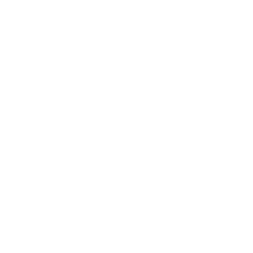 Fabio Takahashi